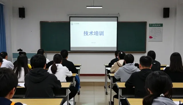 企业管理系统应用开发中的常见问题与处理策略